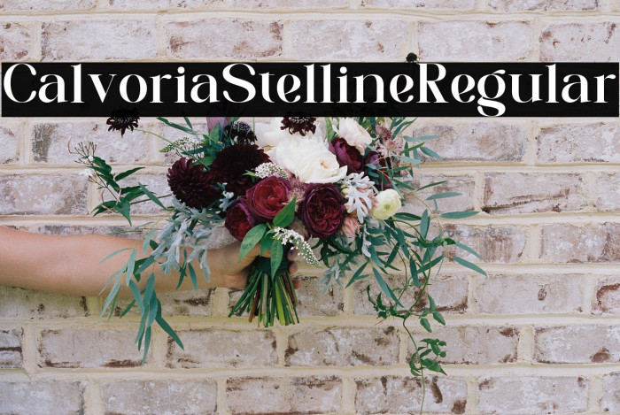 Calvoria Stelline Regular Example 3