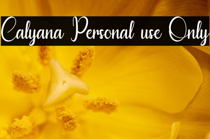 Calyana Personal use Only Example 1