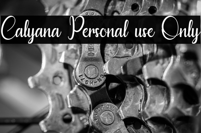 Calyana Personal use Only Example 3