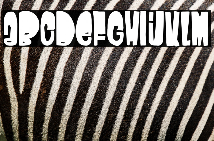 Calypso Soundsystem Example 2