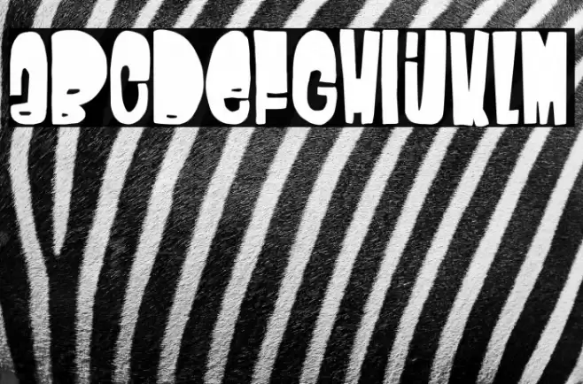 Calypso Soundsystem Font examples