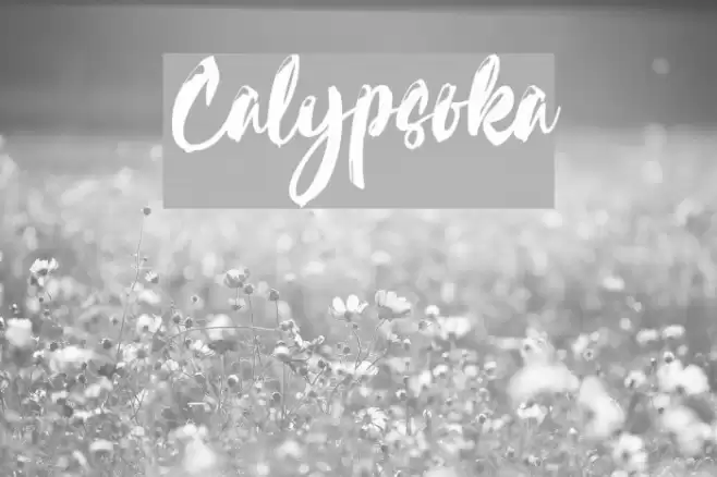 Calypsoka Font examples