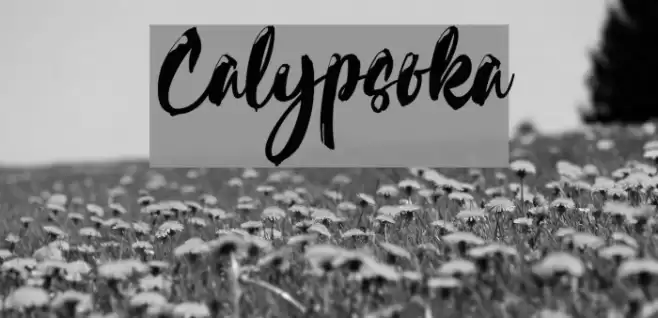 Calypsoka Font examples