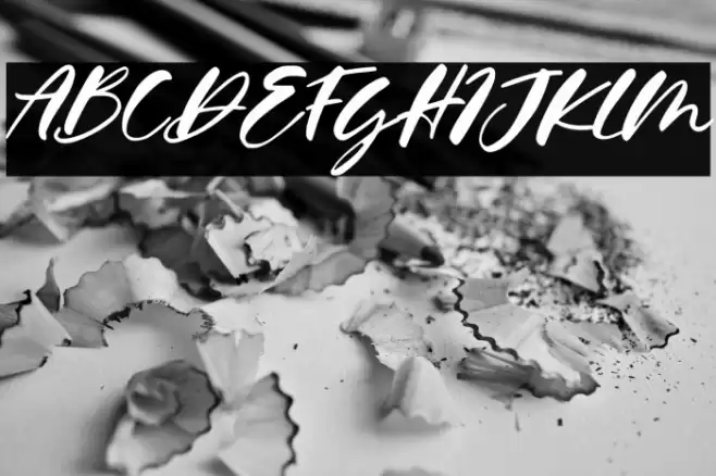 Calysta Rose Italic Font examples