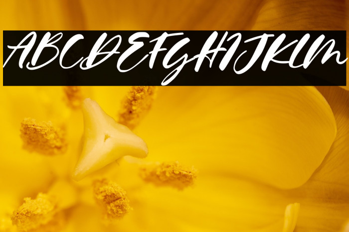 Calysta Rose Italic Example 3