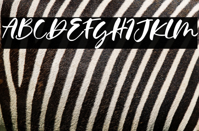 Calysta Rose Example 1