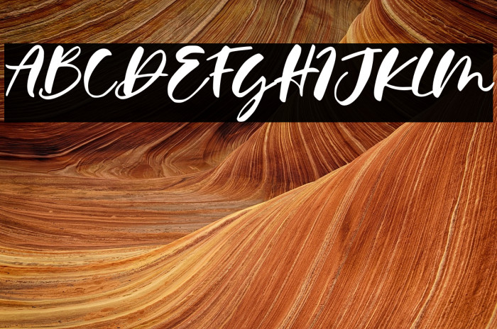 Calysta Rose Example 3