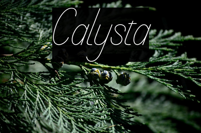Calysta Example 2