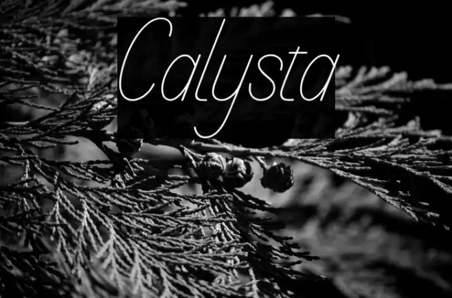 Calysta Font examples