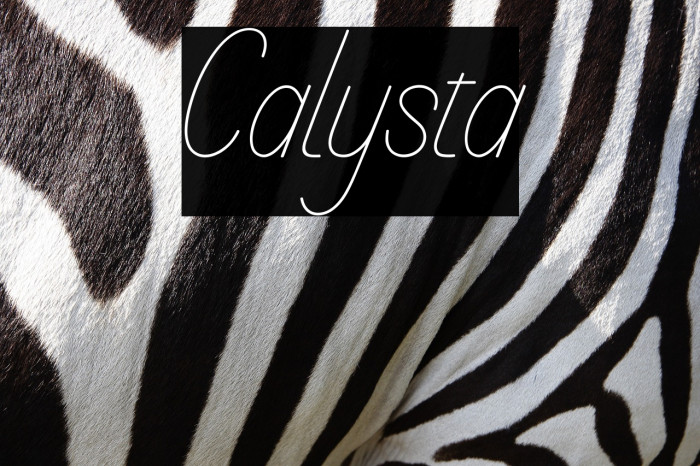 Calysta Example 3