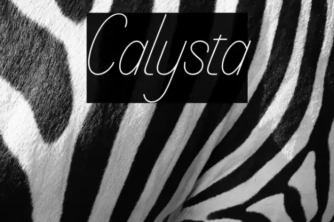Calysta Font examples