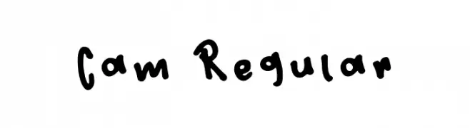 Cam Regular  Free Fonts Download