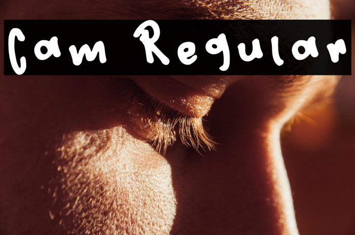 Cam Regular Example 1