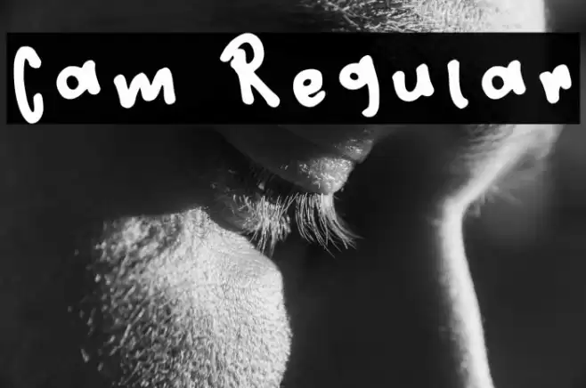 Cam Regular Schriftart examples