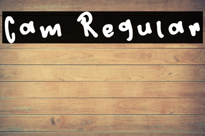 Cam Regular Example 2