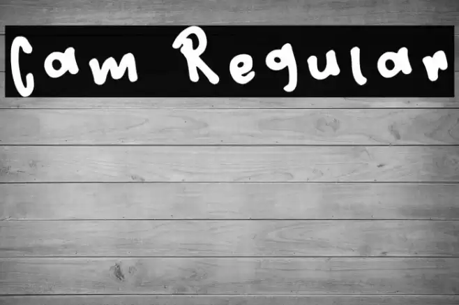 Cam Regular Schriftart examples