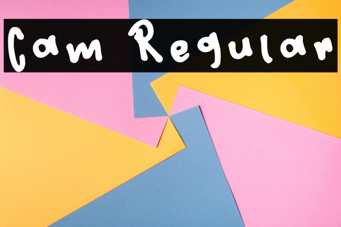 Cam Regular Example 3