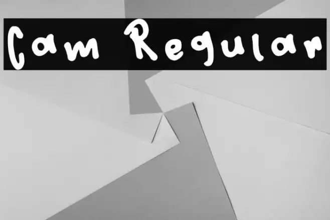 Cam Regular Schriftart examples