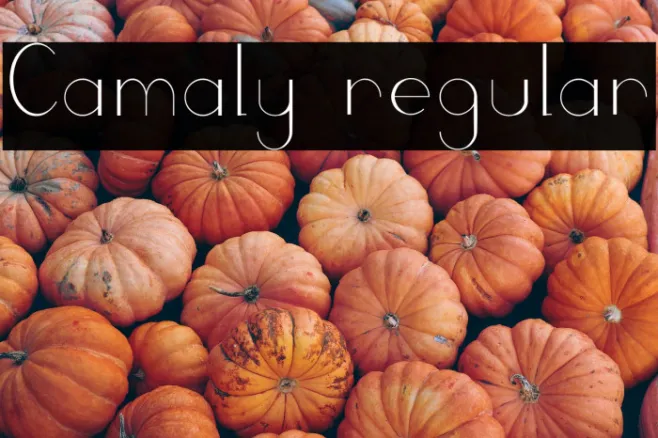 Camaly regular Example 1
