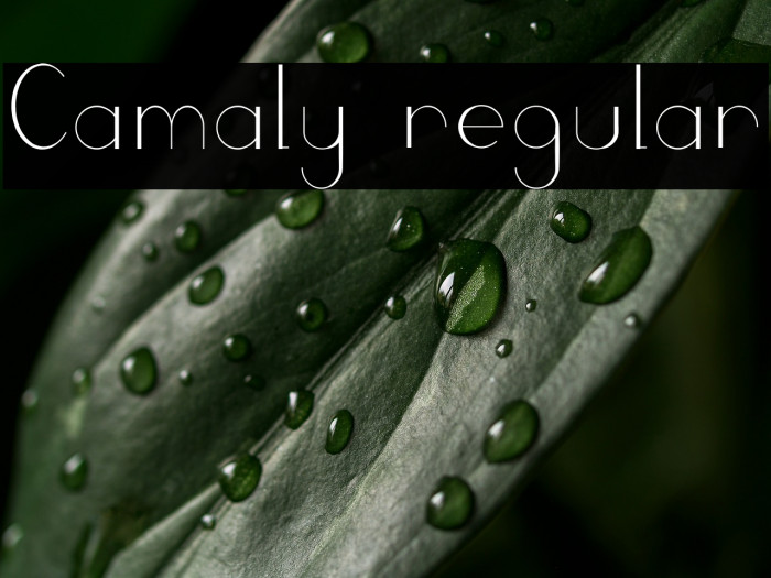 Camaly regular Example 2