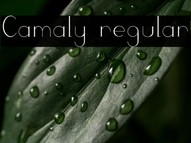 Camaly regular Example 2