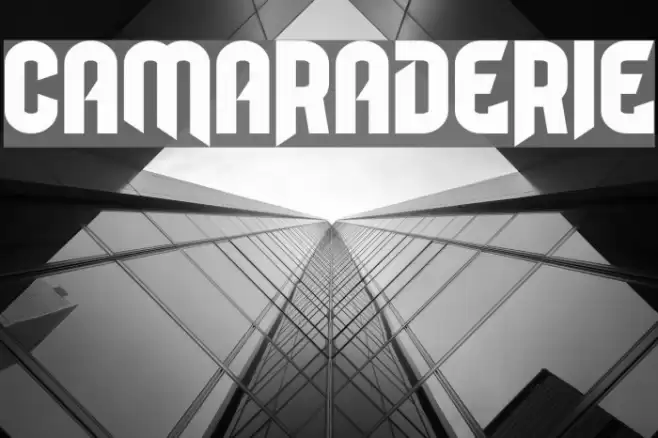 Camaraderie Font examples