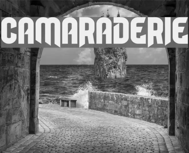 Camaraderie Font examples