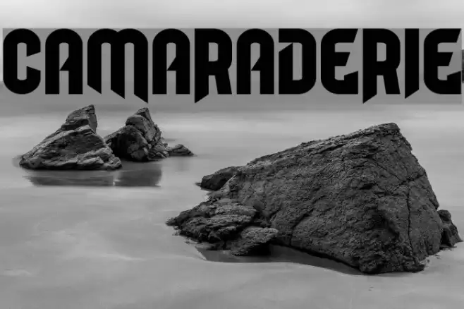 Camaraderie Font examples