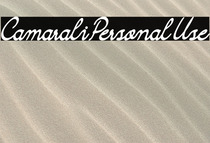 Camarali Personal Use Example 1