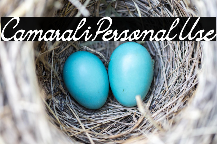 Camarali Personal Use Example 2