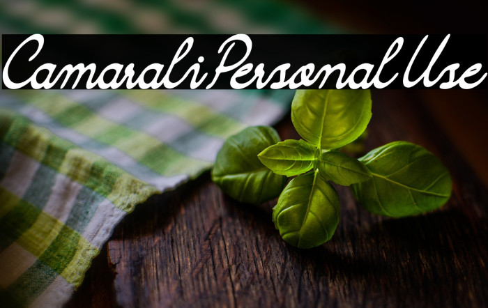 Camarali Personal Use Example 3