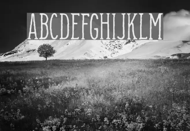 Camargue Serif Regular Font examples