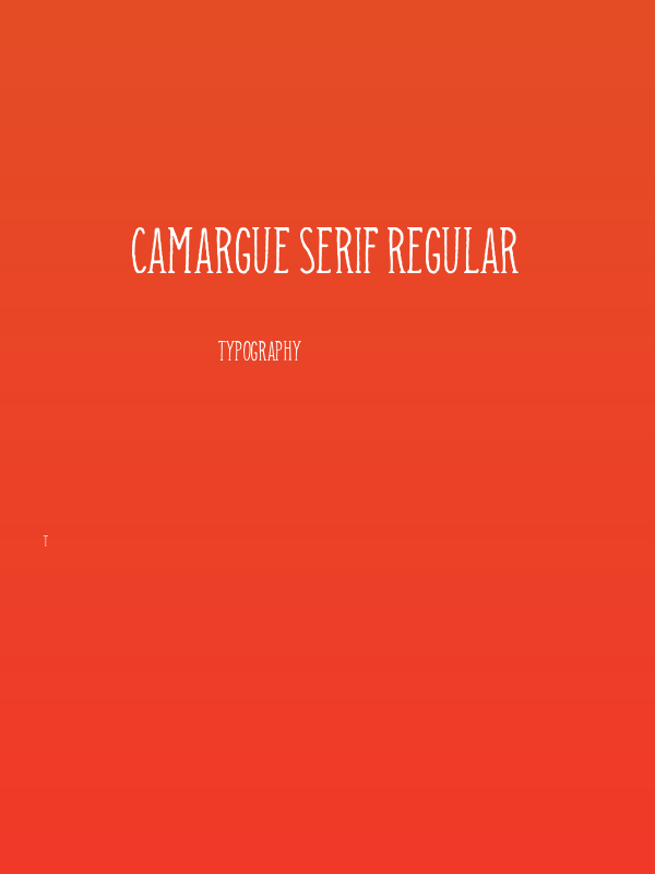 Camargue Serif Regular Poster