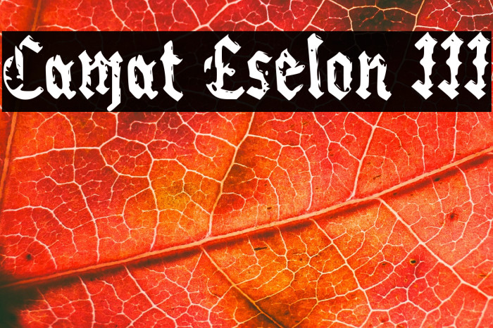 Camat Eselon III Example 2