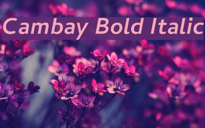 Cambay Bold Italic Font examples