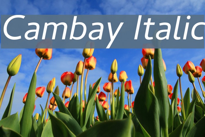 Cambay Italic Font examples