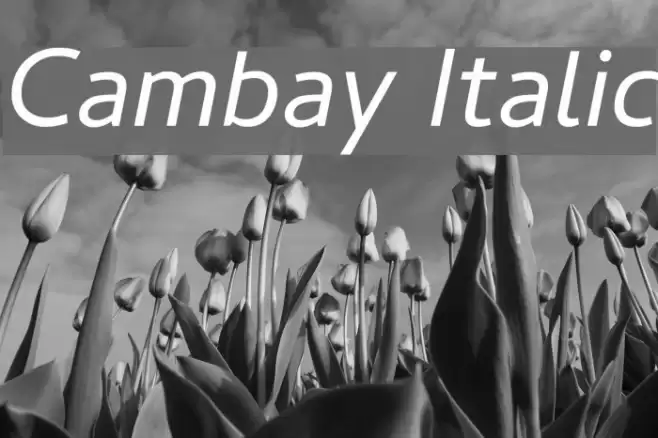Cambay Italic Font examples