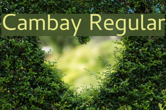 Cambay Regular Font examples