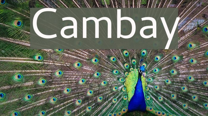 Cambay Font examples