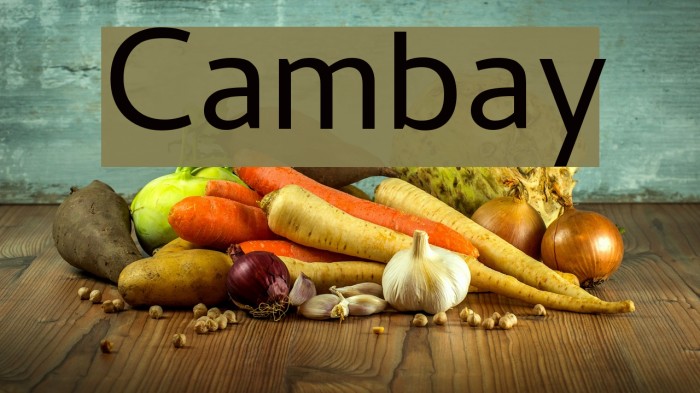 Cambay Font examples
