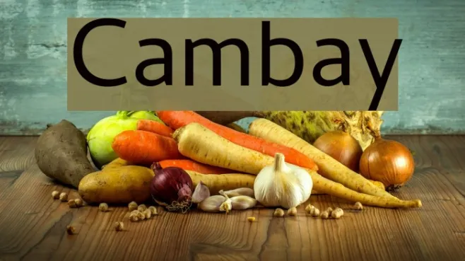 Cambay Example 3