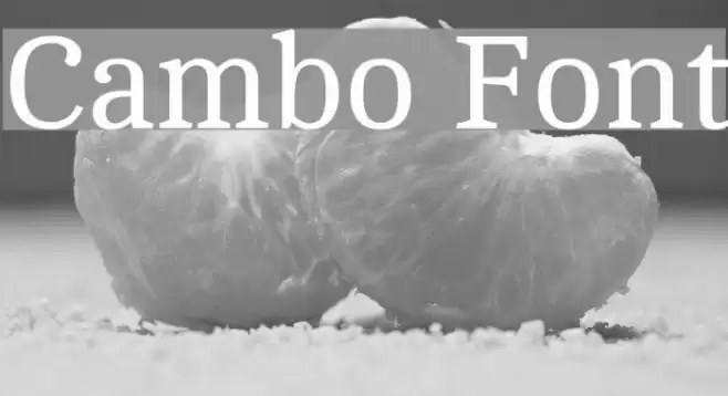 Cambo Font examples