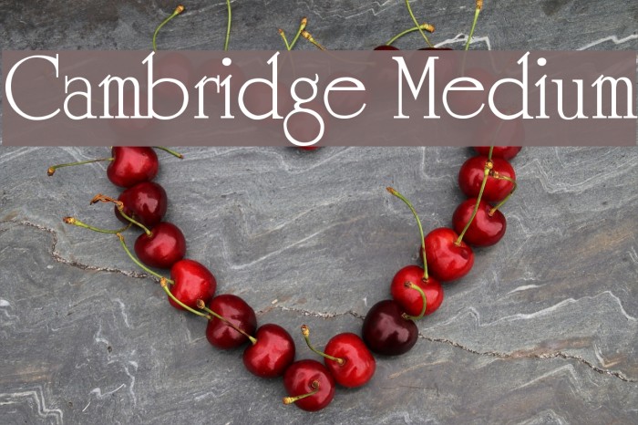 Cambridge Medium Example 1