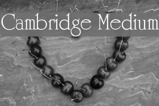 Cambridge Medium Font examples