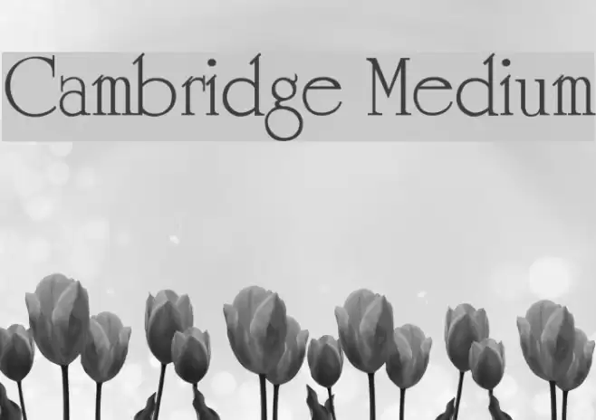 Cambridge Medium Font examples