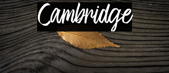 Cambridge Font examples