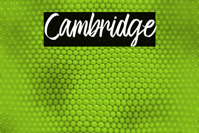 Cambridge Font examples