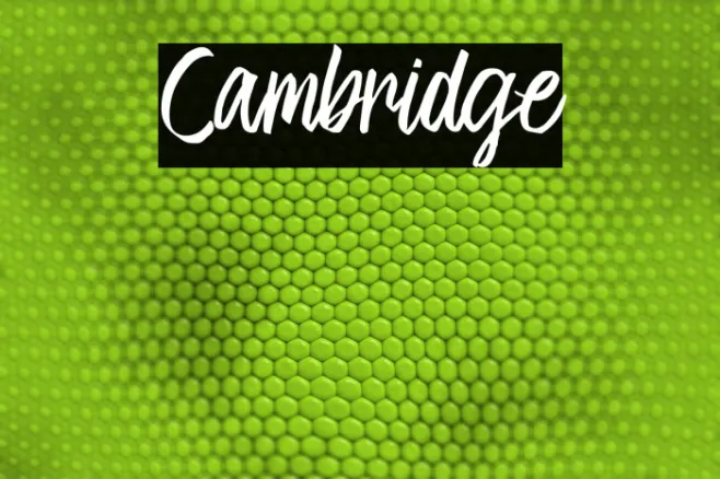 Cambridge Example 3