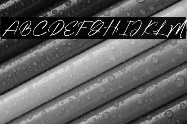 Cambrige Fuentes examples