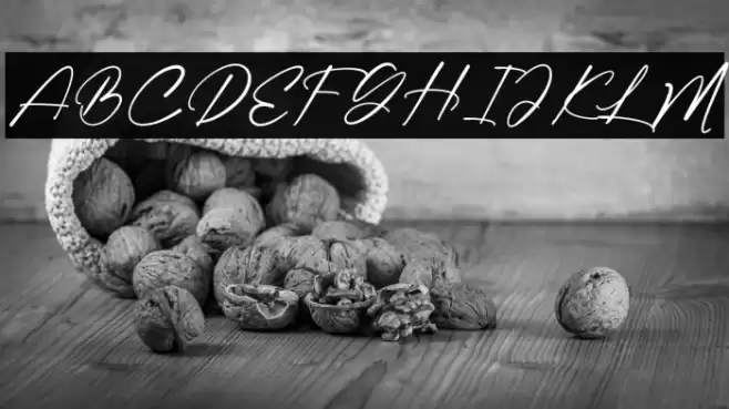 Cambrige Fuentes examples